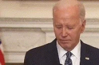 BidenWalk emote for Discord