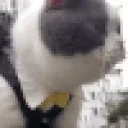 BigBilly emote for Discord