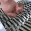 BingusShredder emote for Discord