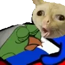 BirdgeTuckk emote for Discord