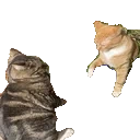 bicker emote for Discord