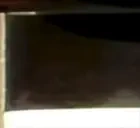 BIRDWINS emote for Discord