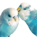 BirdCheck emote for Discord