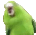 BirbWobble emote for Discord