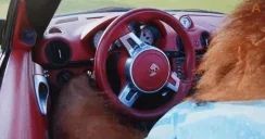 BIBIzyan emote for Discord