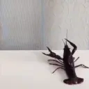 bitch emote for Discord