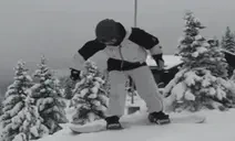 BirkSnowFlip emote for Discord