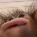 Bibizyanulechka emote for Discord