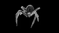 BIGHOUSE emote for Discord