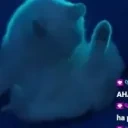 bianchina_hub emote for Discord