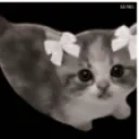 bibiSideflipExplodethen emote for Discord