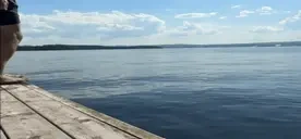 BirkFlopWIDE emote for Discord