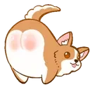 bigpetpet emote for Discord
