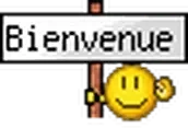 Bienvenue emote for Discord