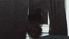 bitrate emote for Discord