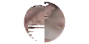 bigmanorbit emote for Discord