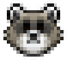 raccoon emote for Discord
