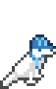 Bird emote for Discord
