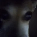 billySalute emote for Discord