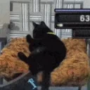 BillSquirm emote for Discord