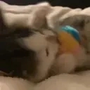 bite emote for Discord