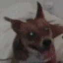 binuPlay emote for Discord