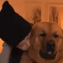 BIGDAWG animated emote for Discord, Twitch and Slack