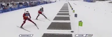 biathlon emote for Discord