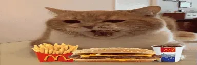 bixicat2 emote for Discord