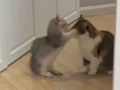 BiteTime emote for Discord