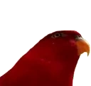 BirbGun emote for Discord