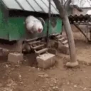 bigMods emote for Discord