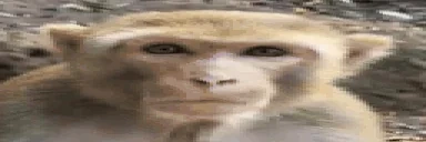 BITCH emote for Discord