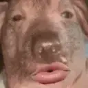 cessaronSingingAtYou2 emote for Discord