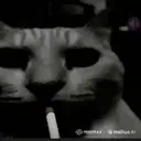CigaretteCat emote for Discord