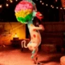 circusDance emote for Discord