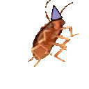 CIRCLINGYOURHAT emote for Discord