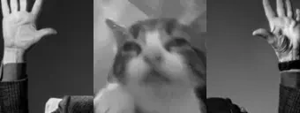 Cinebluh emote for Discord