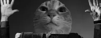 CineWuh emote for Discord