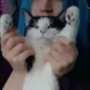 ciastorDance emote for Discord