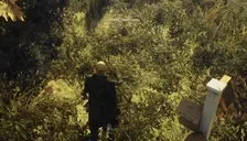 CigarBox emote for Discord