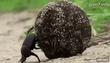 Circle emote for Discord