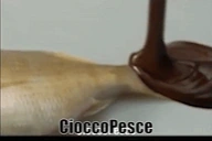 Cioccopesce emote for Discord