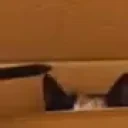 cinderSniff emote for Discord