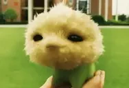 cj7happy emote for Discord