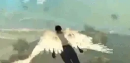 CjFlying emote for Discord