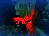 CJ emote for Discord