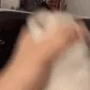 Clean emote for Discord