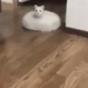 CLEAN emote for Discord