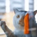 CleanerCat emote for Discord